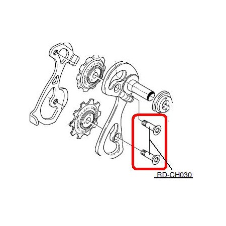 VITI FISSAGIO ROTELLINE 10 V  RD-CH030 CAMPAGMOLO