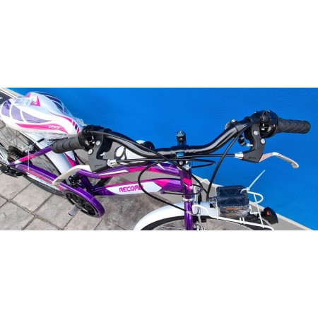 CICLO MTB 24 LINCY 18V RECORD