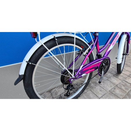 CICLO MTB 24 LINCY 18V RECORD