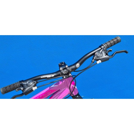 CICLO MTB 24 LINCY 21V