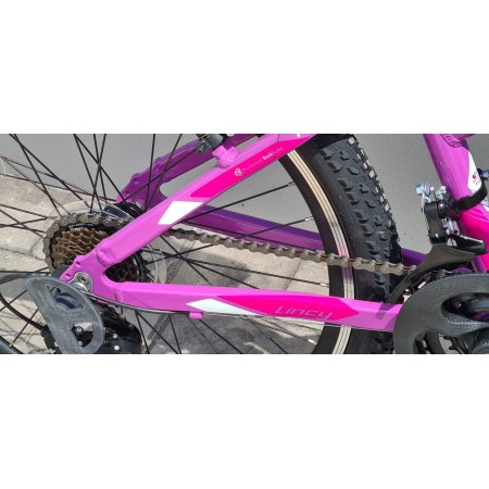 CICLO MTB 24 LINCY 21V