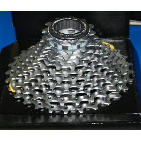 Pacco Pignoni 11V CHORUS 11-29 CAMPAGNOLO