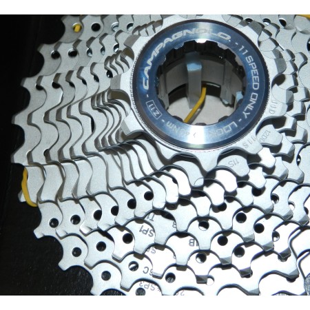 Pacco Pignoni 11V CHORUS 11-29 CAMPAGNOLO