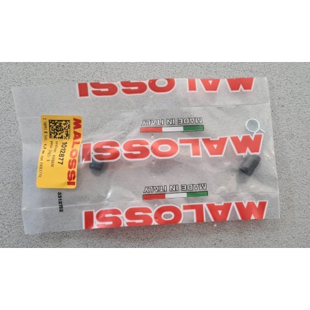 GRUPPO TERMICO F12 #47 MALOSSI