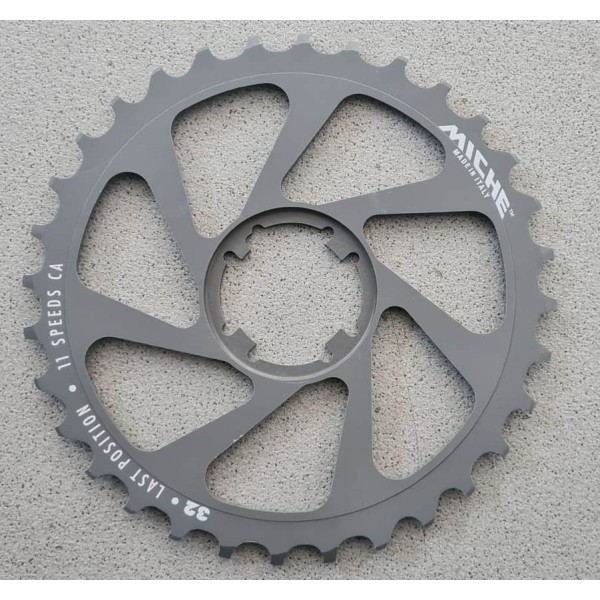 PIGNONE ULTIMA POSIZIONE 32 D. MICHE