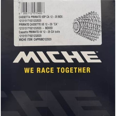 PACCO PIGNONI 12/29 9V x CAMPAGNOLO - MICHE