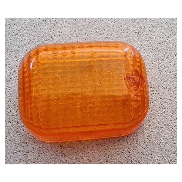 INDICATORE DI DIREZIONE POSTERIORE F12 MALAGUTI