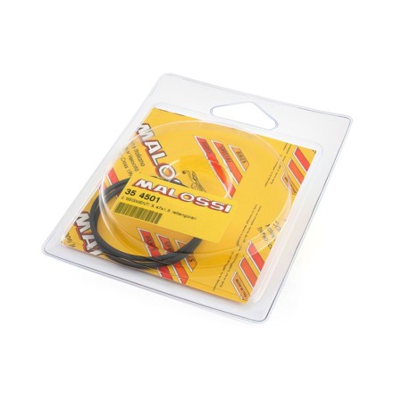 SEGMENTO #47 F12 - SR - RV4 MINARELLI MALOSSI