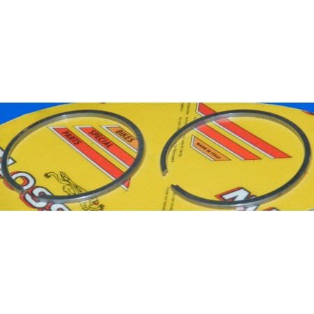 SEGMENTO #41 x 1,5 CALIFFONE MALOSSI