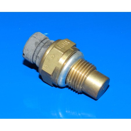 Termostato Temperatura AF1 50 Aprilia