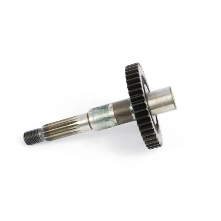 ALBERO USCITA MESSA IN MOTO F12 MALAGUTI