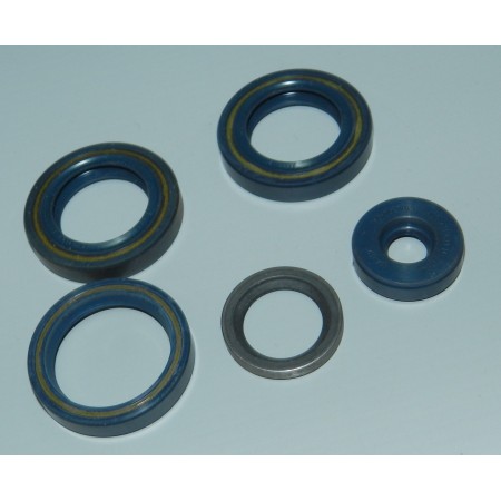 KIT PARAOLI ETX 125 ROTAX APRILIA