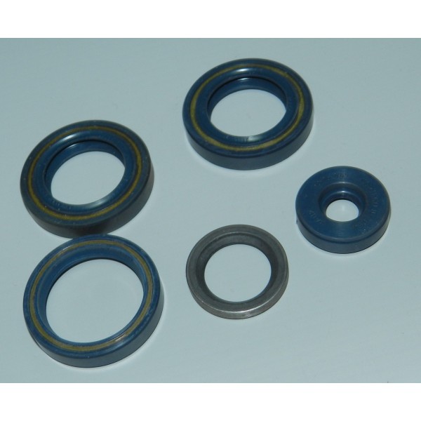 KIT PARAOLI ETX 125 ROTAX APRILIA