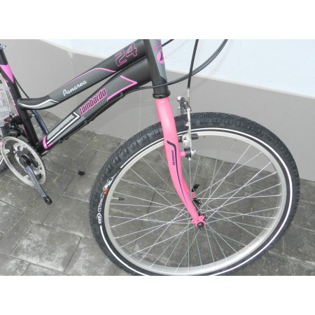 CICLO 24 PANAREA LOMBARDO