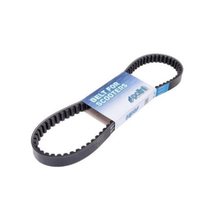 CINGHIA VARIATORE SFERA POLINI