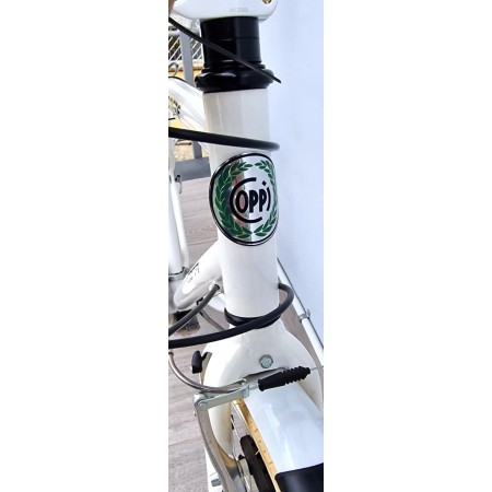 CITY BIKE UOMO COPPI