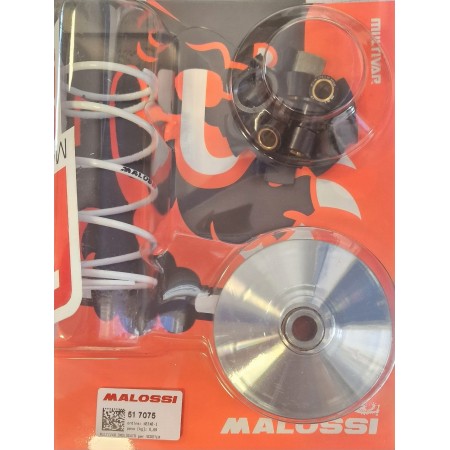 KIT VARIATORE PER MINARELLI MALOSSI