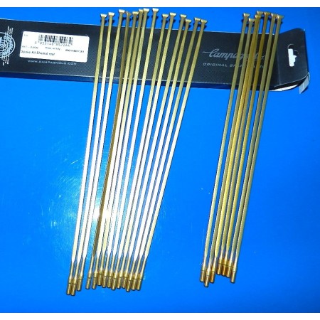 RAGGI SHAMAL ORO 21 PEZZI CAMPAGNOLO