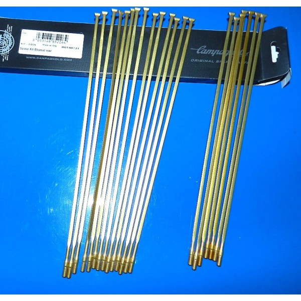 RAGGI SHAMAL ORO 21 PEZZI KIT-04SH - ORO CAMPAGNOLO