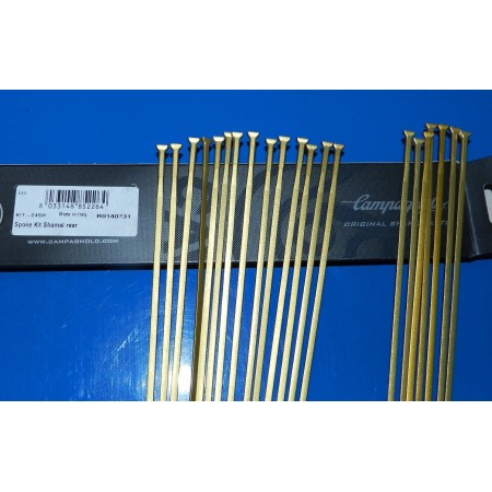 RAGGI SHAMAL ORO 21 PEZZI CAMPAGNOLO