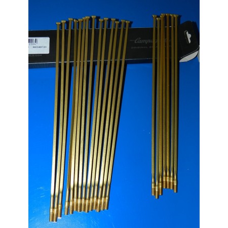 RAGGI SHAMAL ORO 21 PEZZI CAMPAGNOLO