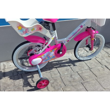 CICLO 14 BAFFY LOMBARDO