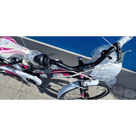 CICLO MTB 20 LINCY 6V RECORD