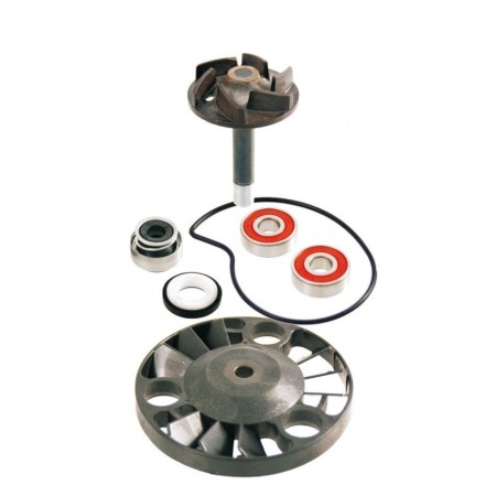 KIT REVISIONE POMPA ACQUA BEVERLY125 - 200 RMS