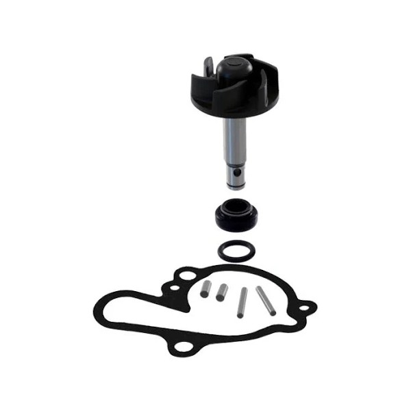 KIT REVISIONE POMPA ACQUA MINARELLI AM6