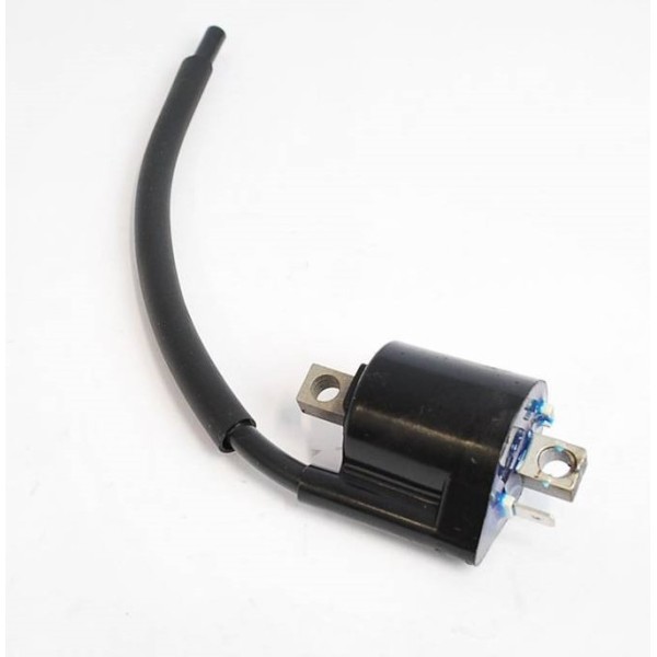 BOBINA MADISON 125 MALAGUTI