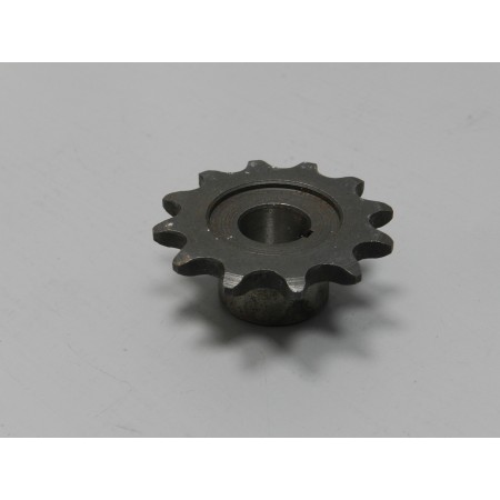 Pignone  12 DENTI BENELLI