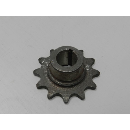 Pignone  12 DENTI BENELLI