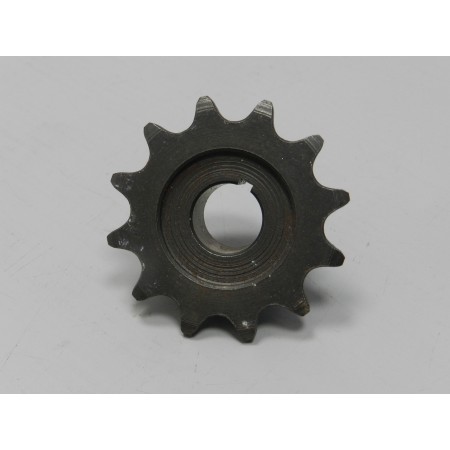 Pignone  12 DENTI BENELLI