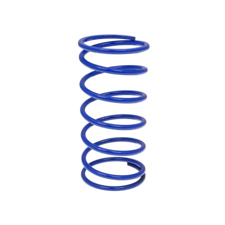 MOLLA DI CONTRASTO MINARELLI EVOLUTION POLINI