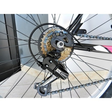 BICI MTB LINCY 26 DONNA RECORD