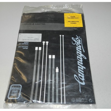 CAMPAGNOLO

FILO E GUAINA PER FRENO ANTERIORE E POSTERIORE