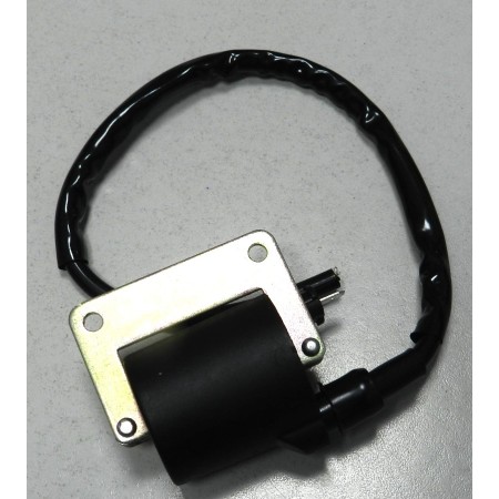 BOBINA ACCENSIONE HEXAGON - BERGAMASCHI