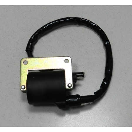 BOBINA ACCENSIONE HEXAGON - BERGAMASCHI