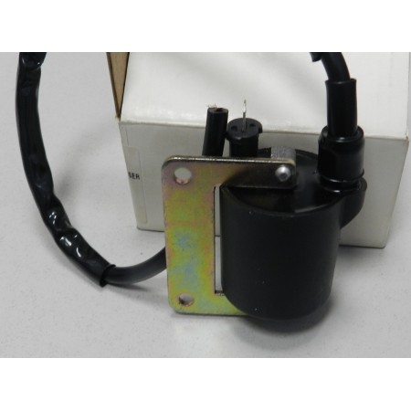 BOBINA ACCENSIONE HEXAGON - BERGAMASCHI