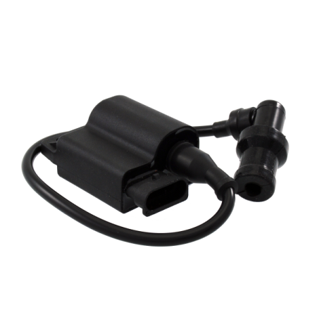 CENTRALINA 24601490 LIBERTY 4 TEMPI