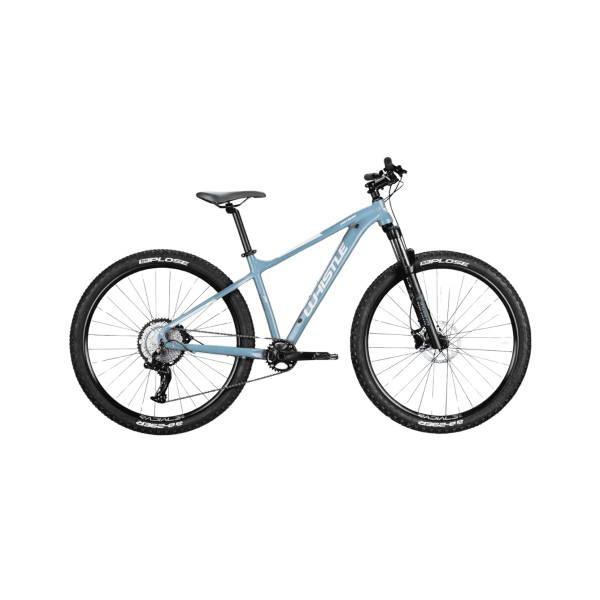 CICLO MTB 29 PATWIN 2380 LT WHISTLE