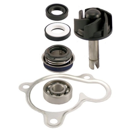 KIT REVISIONE POMPA ACQUA MAJESTY 250 RMS