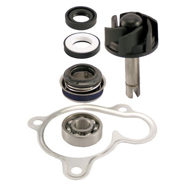 KIT REVISIONE POMPA ACQUA MAJESTY 250 RMS