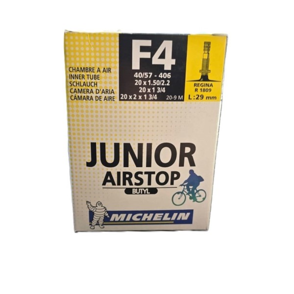 CAMERA D'ARIA 20 x 1.50/2.20 MICHELIN