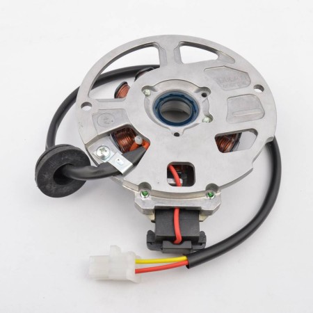 STATORE DUCATI 431.141.440 MALAGUTI