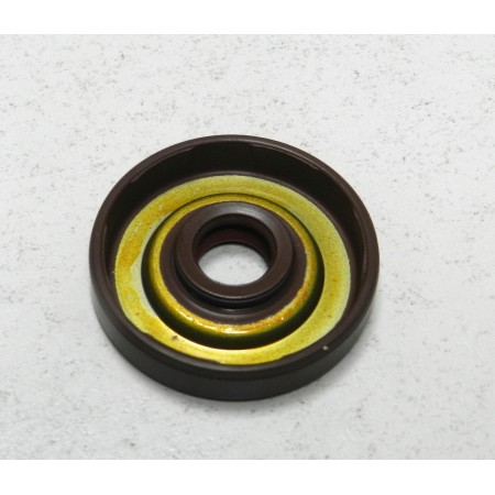 PARAOLIO 10 x 35 x 7 POMPA ACQUA GAS GAS