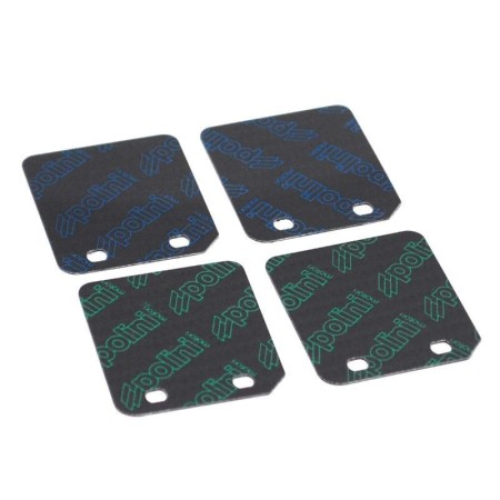 SET LAMELLE YAMAHA - MINARELLI POLINI