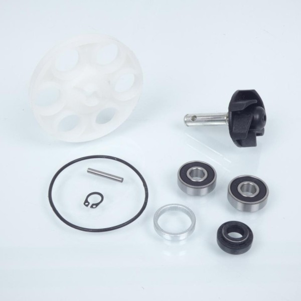 KIT REVISIONE POMPA ACQUA CON PULEGGIA MINARELLI E YAMHA SIFAM