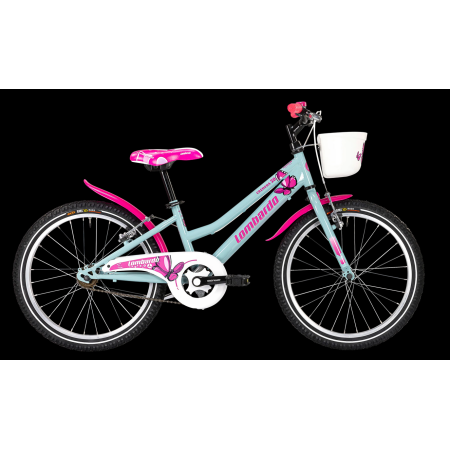 CICLO MTB 20 CREMONA LOMBARDO