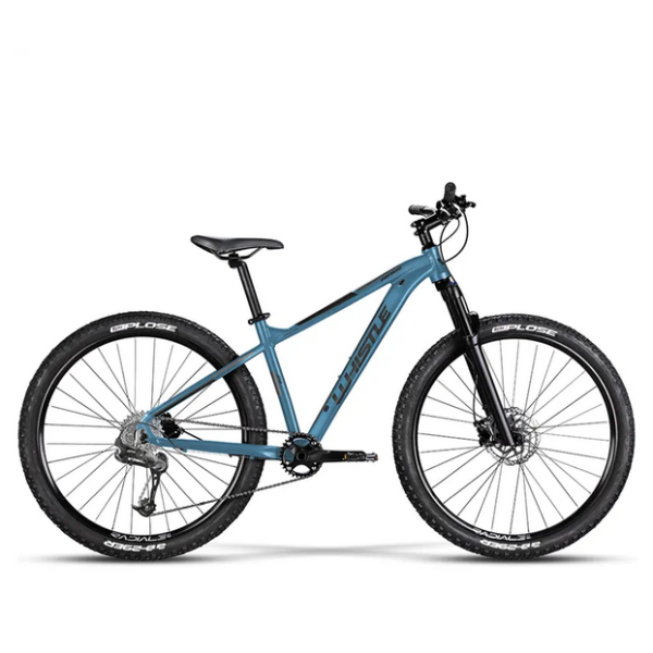 CICLO MTB 29 PATWIN 2379 WHISTLE
